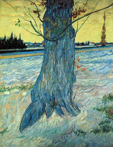 van Gogh / The Tree / 1888 from Vincent van Gogh