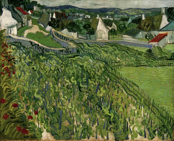 van Gogh / Vineyards at Auvers / 1890 from Vincent van Gogh