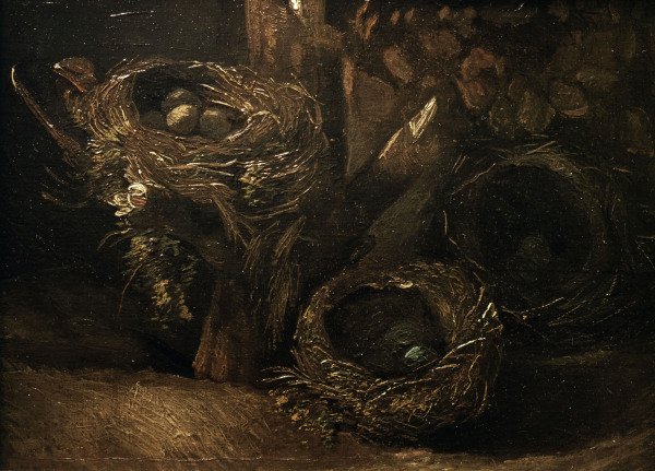 v.Gogh / Bird s nests / 1885 from Vincent van Gogh
