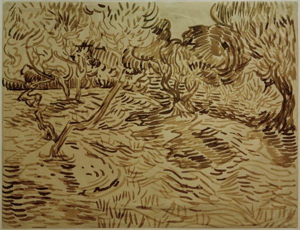 V.van Gogh, Olive Grove / 1889 from Vincent van Gogh