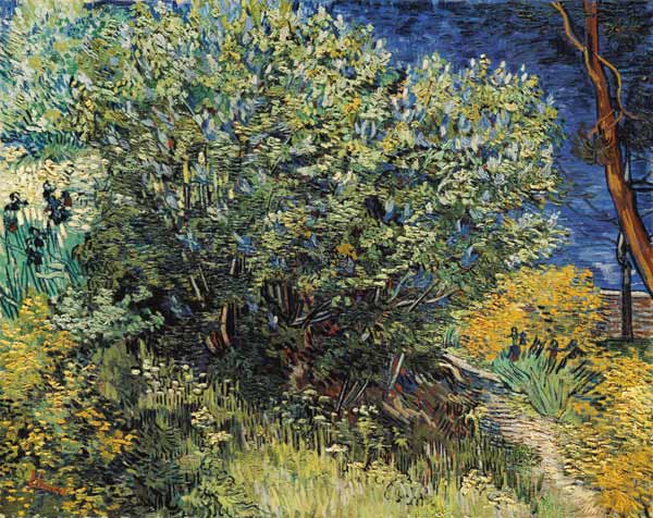 V.v.Gogh / Lilacs / Painting / 1889 from Vincent van Gogh