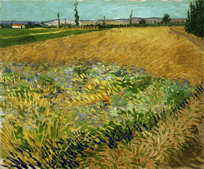 Wheatfield from Vincent van Gogh