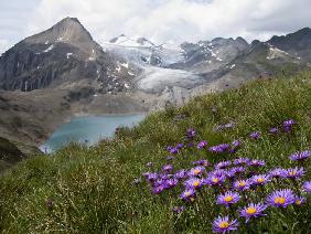 Corno Gries, Switzerland