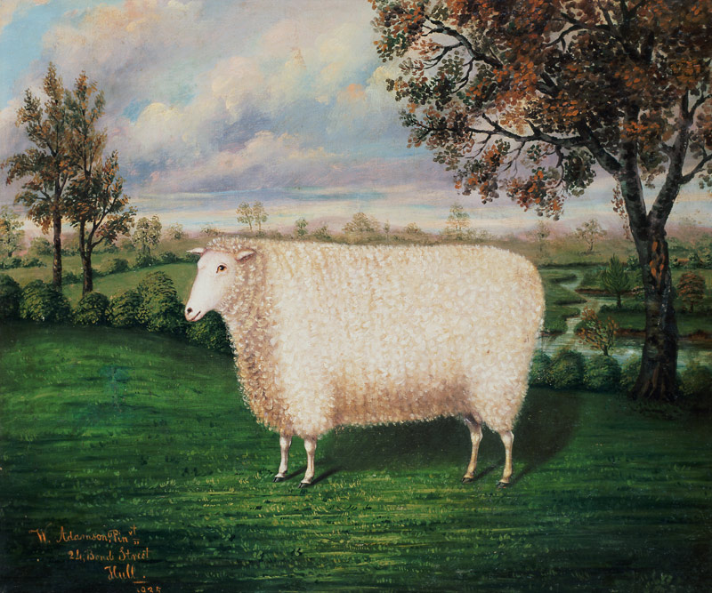 A Prize Sheep of the Old Lincoln Breed from W. Adamson
