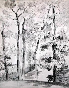 Bäume, Sand-Punkt, 1935
