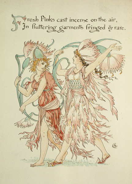Pink carnation from Walter Crane