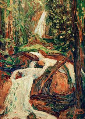 Kochel - Waterfall I