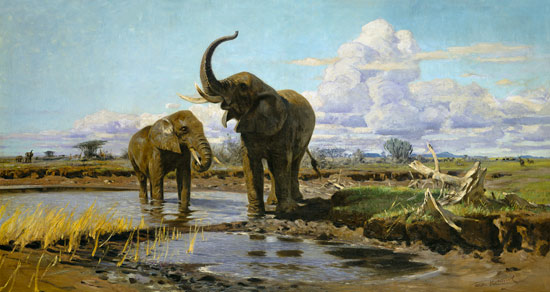 Elefanten an der Wasserstelle from Wilhelm Kuhnert