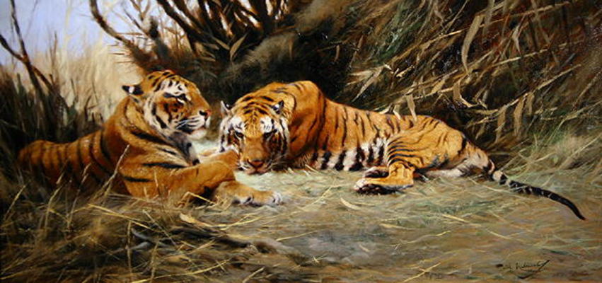 Siberian Tigers, 1913 (oil on canvas) from Wilhelm Kuhnert
