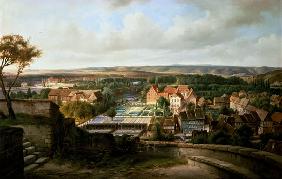 Blick auf Quedlinburg vom Schlossberg