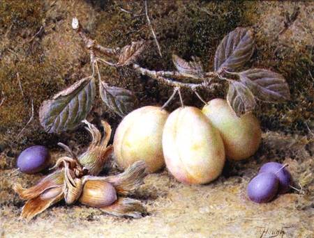 Still Life with plums and nuts from William B. Hough