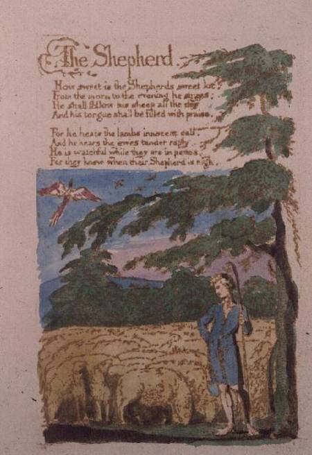 The Shepherd from Songs of Innocence from William Blake