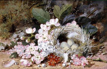 Still Life of Bird's Nest with Primulas from William Cruikshank