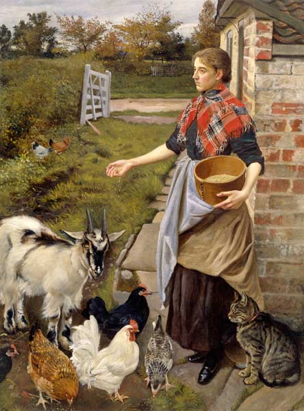 Feeding the Chickens from William Edward Millner