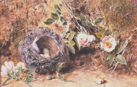 Still Life with Chaffinch Nest from William Henry Hunt
