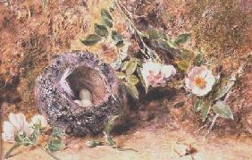 Still Life with Chaffinch Nest