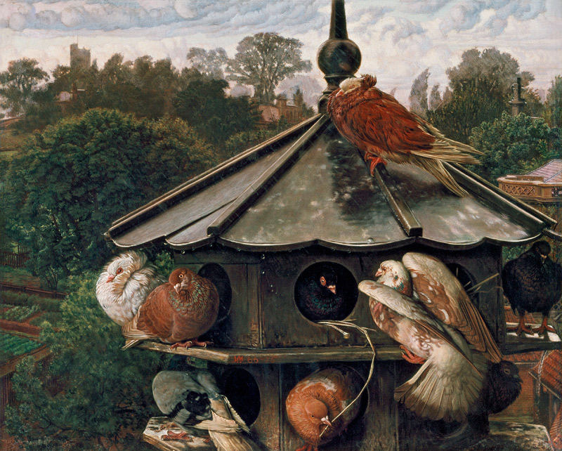 The Festival of St. Swithin or The Dovecote from William Holman Hunt