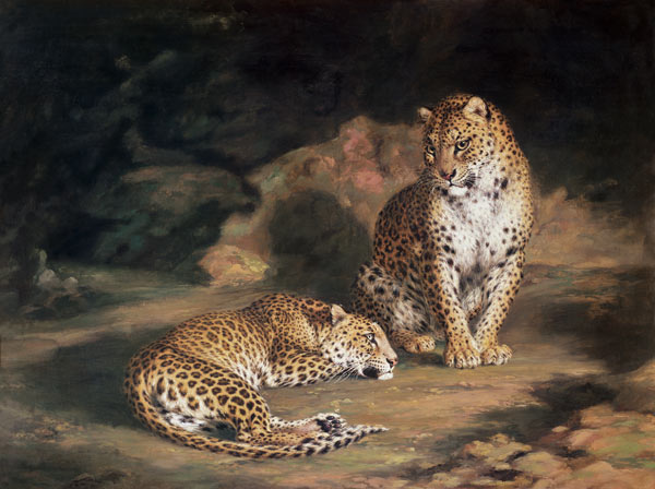 A Pair of Leopards from William Huggins