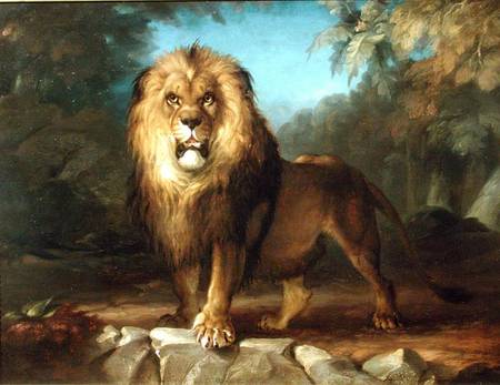 A Lion from William Huggins