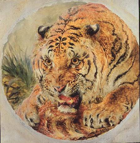 Tiger's Head from William Huggins