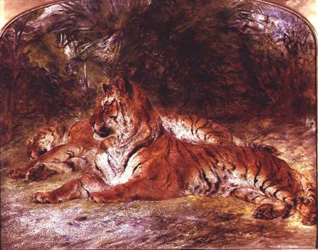 Tigers from William Huggins