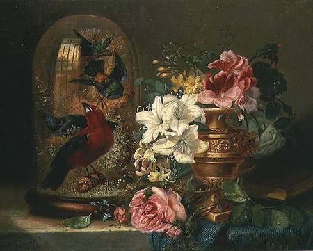 Still Life with Flowers and Birds from William John Wainwright