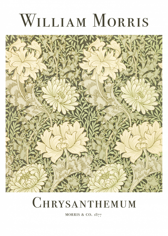Chrysantheme from William  Morris