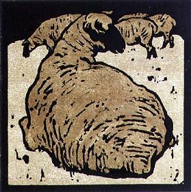 Das einfache Schaf, Illustration aus The Square Book of Animals, herausgegeben von William Heinemann
