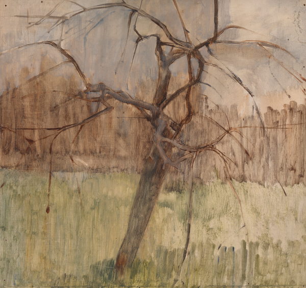 Apple Tree from William  Packer