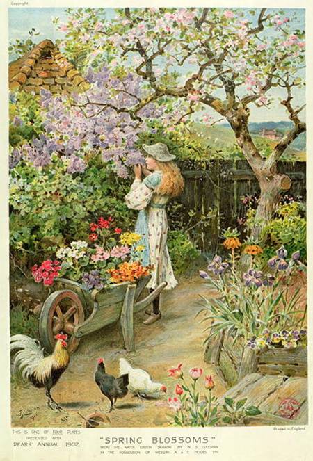 Spring Blossoms, from the Pears Annual from William Stephen Coleman