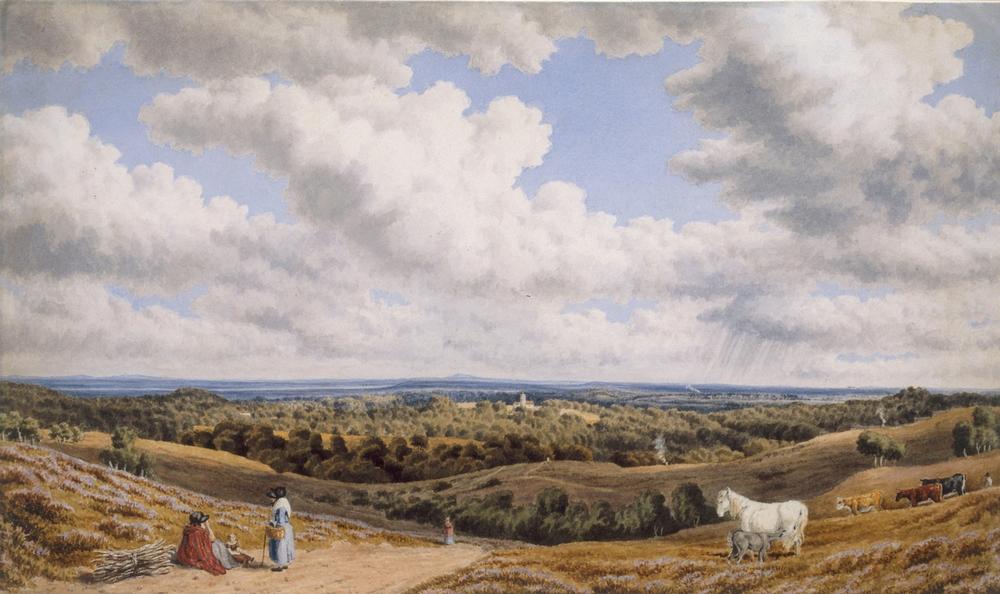 Heath Scene near Minstead in the New Forest looking Towards from William Turner of Oxford
