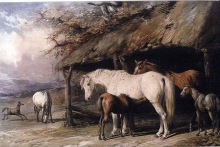 Mares and Foals from William u. Henry Barraud