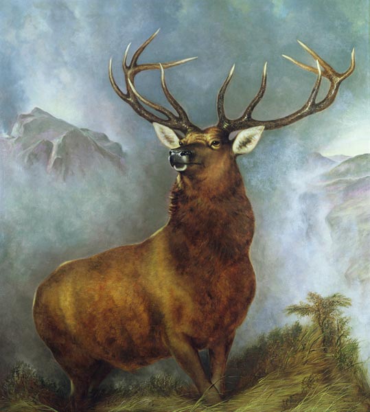 The Monarch of the Glen from William Widgery