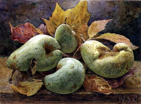 Odd and Even (Pears) from W.S. Goodwin