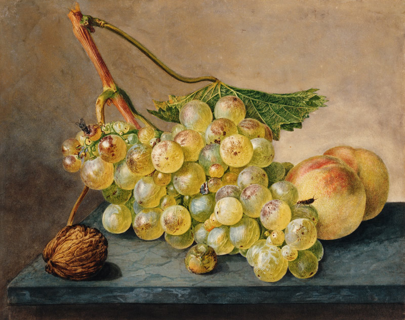 Eine Traube, eine Nuss und zwei Pfirsiche from Wybrand Hendriks
