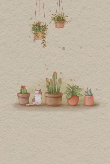 Kaktus und Katze