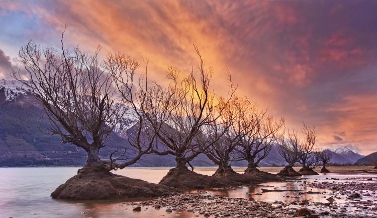 Glenorchy on Fire from Yan Zhang
