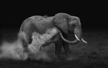 Elefantensandbaden