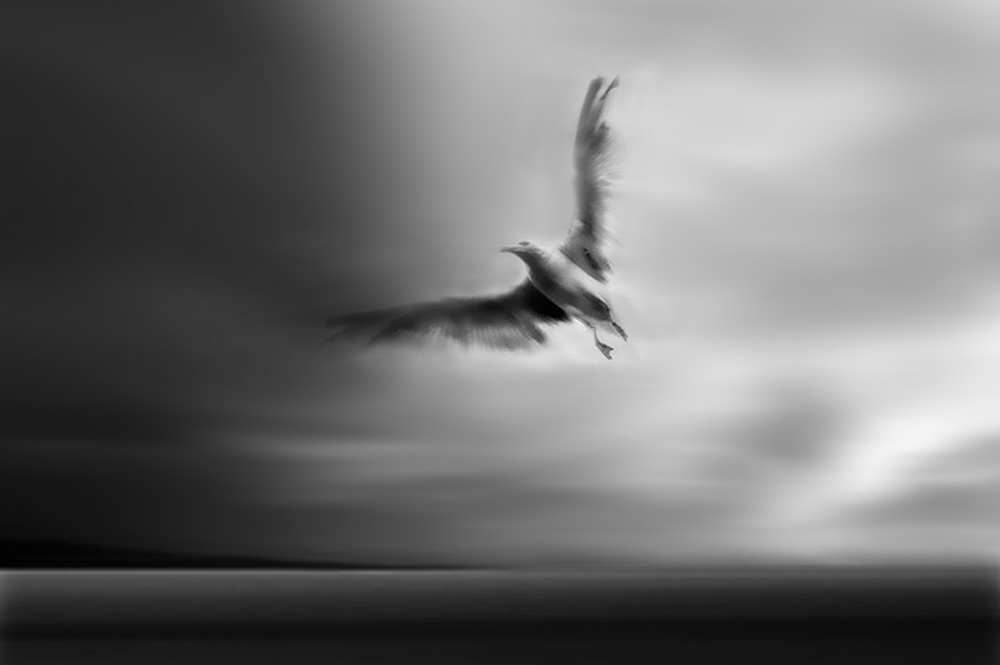 Fly away with me from Yvette Depaepe