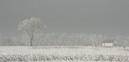 Winterpolderland... Winterwunderland (2)